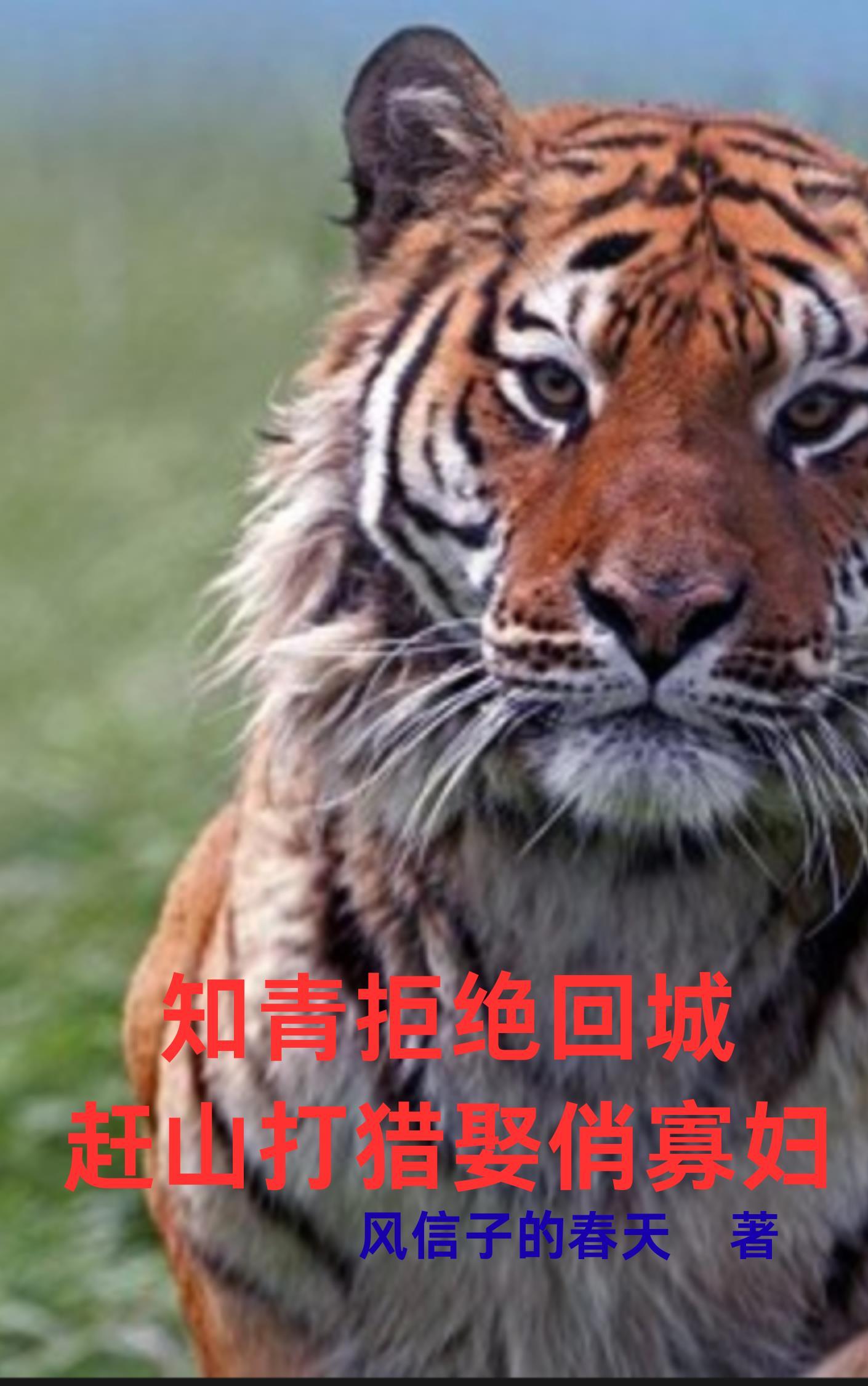 出殡日你没时间,我重生崛起你发疯